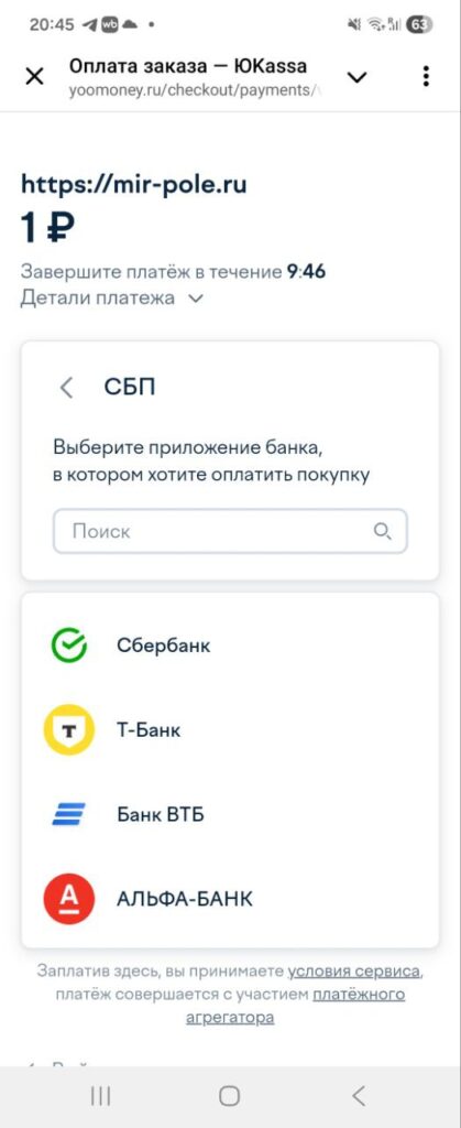 Payment online
