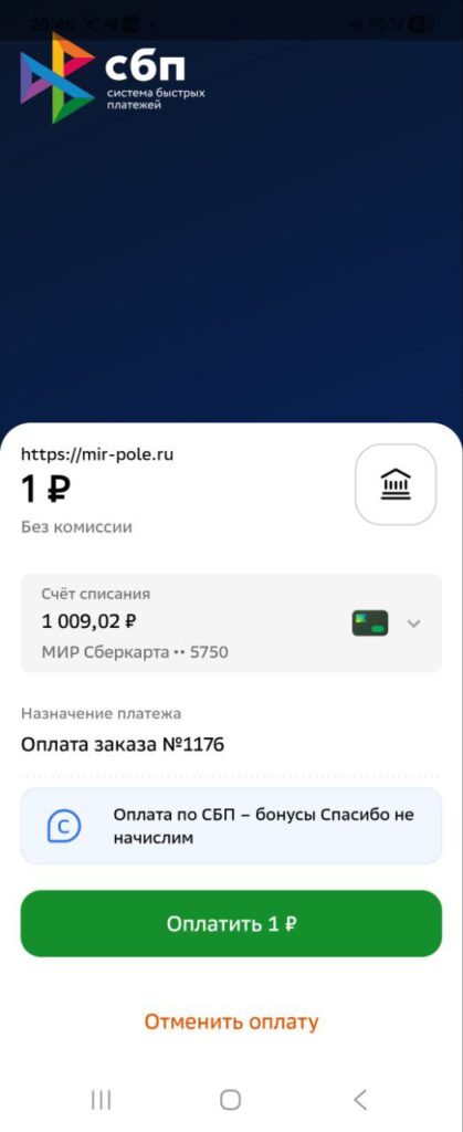 Payment online
